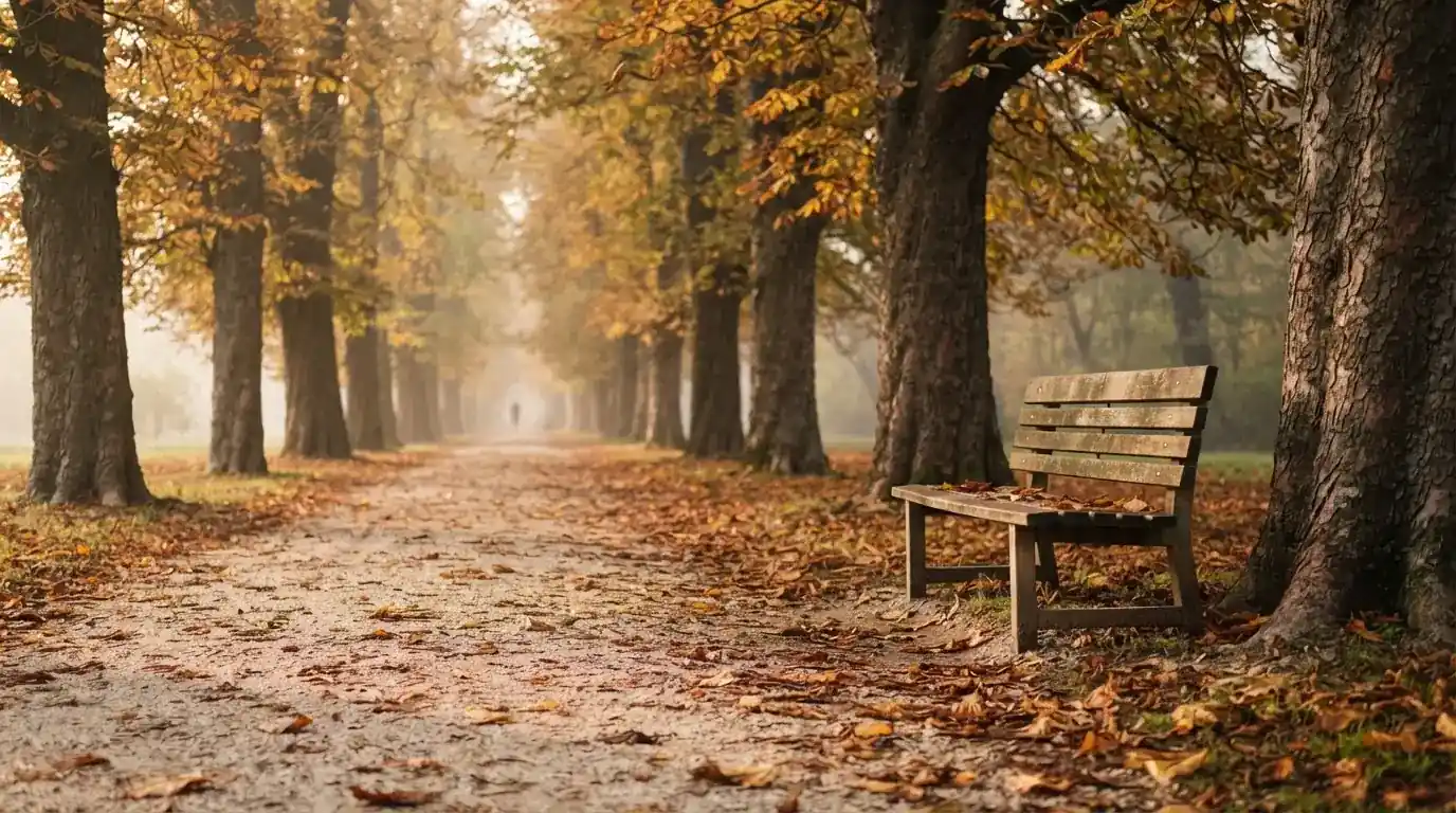 Eine Parkallee mit Kastanienbäumen und einer leeren Bank, Herbstlaub bedeckt den Kiesweg.
